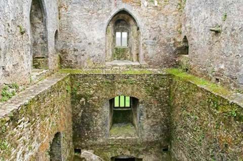 Visit Blarney Castle image