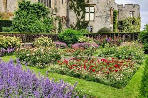 Guided tours of Chirk Castle  image