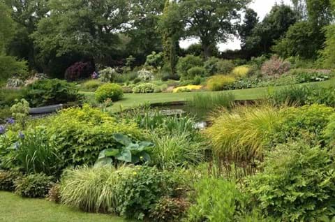 Guided tour of Beth Chatto Gardens image