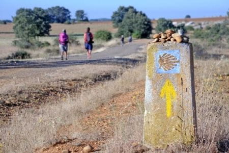 Camino de Santiago - The Last 100km