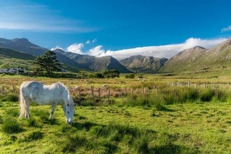 Galway, Connemara and The Aran Islands - Solo Traveller