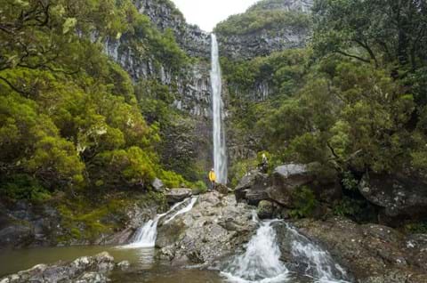 Visit the Madeira waterfalls image