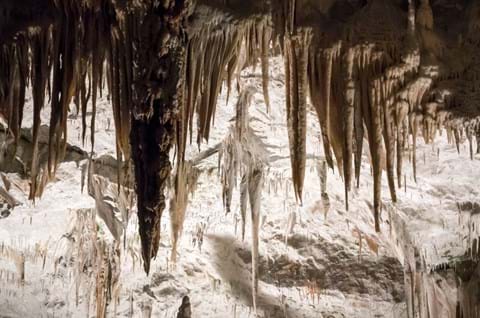 Postojna Cave Tour in Slovenia image