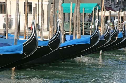 See the iconic Gondolas on your guided Venice tour image