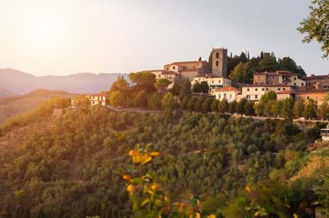 See Montecatini on guided Tuscany holiday image